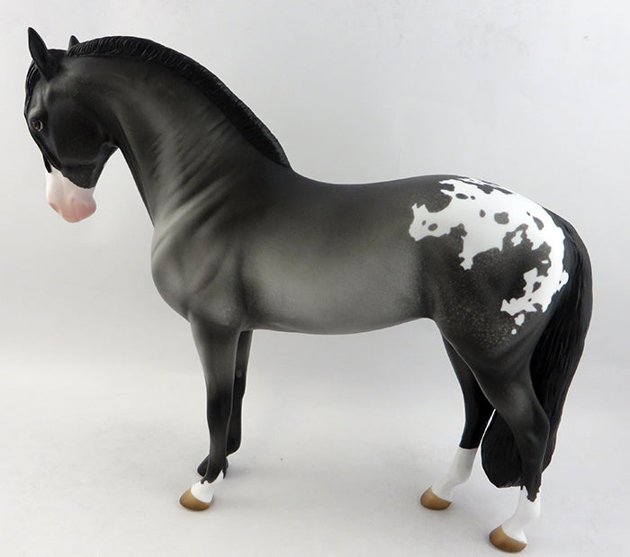 appaloosa