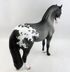 stunning horse