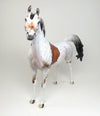 CHESTNUT APPALOOSA