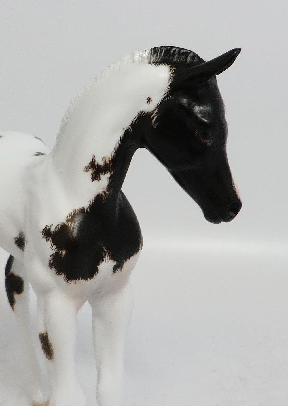 PASS IT TO ME - OOAK DARK BAY PINTO FOAL MODEL HORSE BY JULIE SUPER BOWL SALE 2018