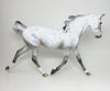 appaloosa palouse 