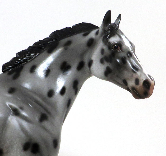 BEST OF SUDDEN LOUD - OOAK APPALOOSA ISH MODEL HORSE - 10/30