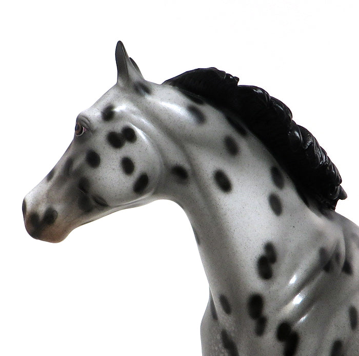 BEST OF SUDDEN LOUD - OOAK APPALOOSA ISH MODEL HORSE - 10/30