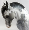 andalusian