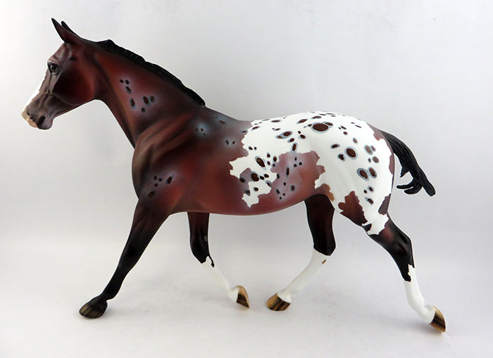 appaloosa