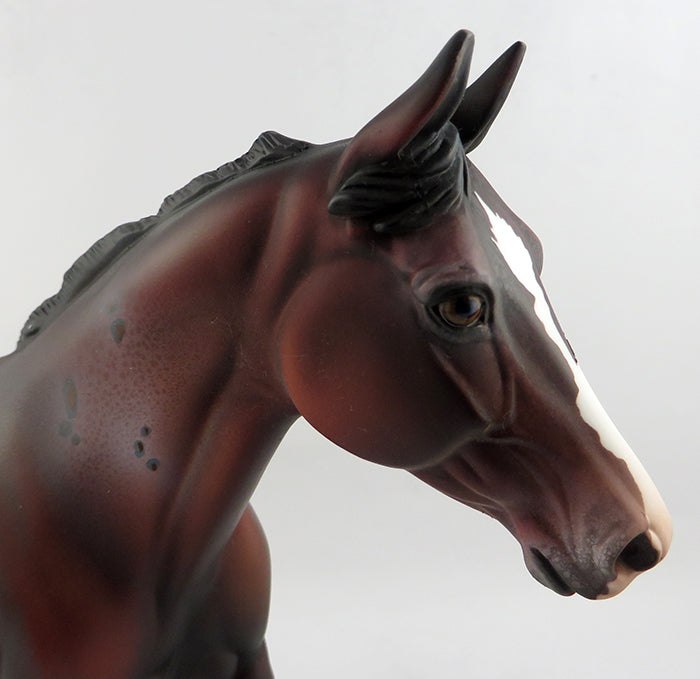 MONGOOSE-OOAK BAY APPALOOSA MODEL HORSE BY DAWN QUICK 1/19