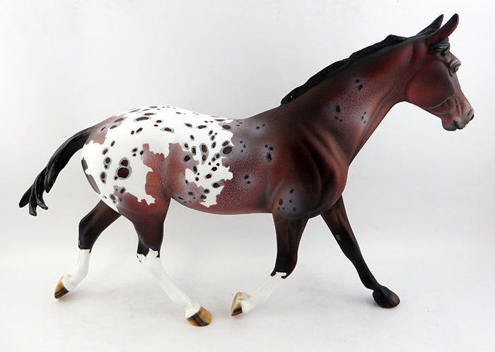MONGOOSE-OOAK BAY APPALOOSA MODEL HORSE BY DAWN QUICK 1/19