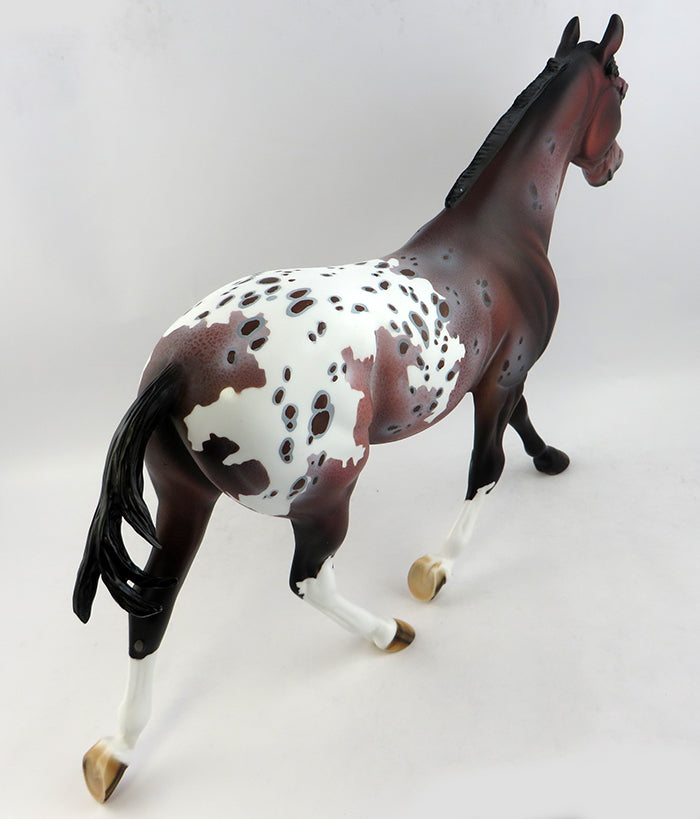 MONGOOSE-OOAK BAY APPALOOSA MODEL HORSE BY DAWN QUICK 1/19