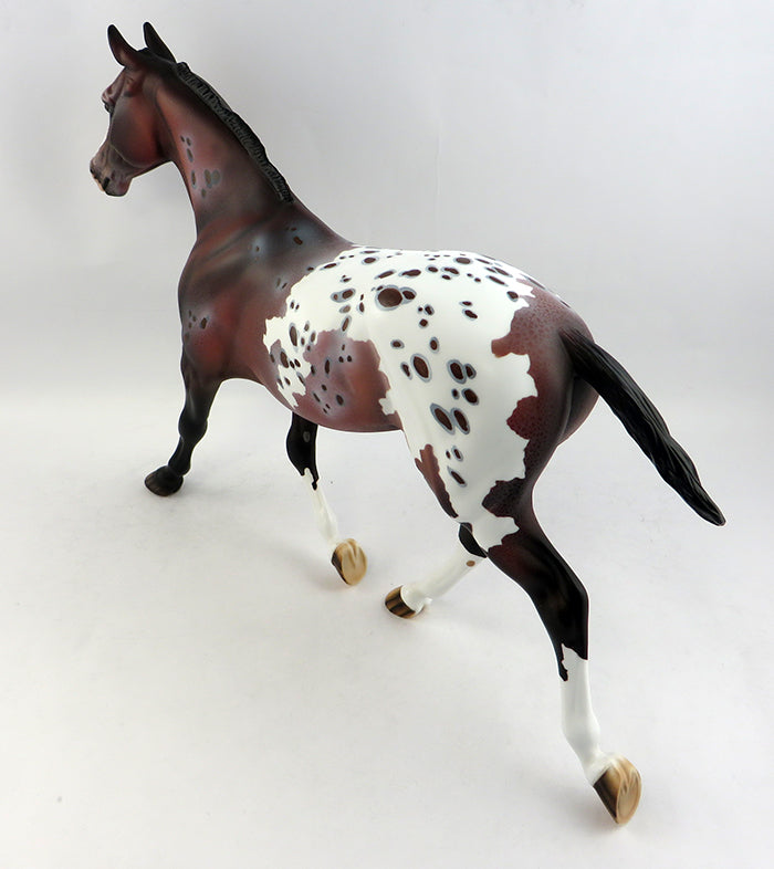 MONGOOSE-OOAK BAY APPALOOSA MODEL HORSE BY DAWN QUICK 1/19