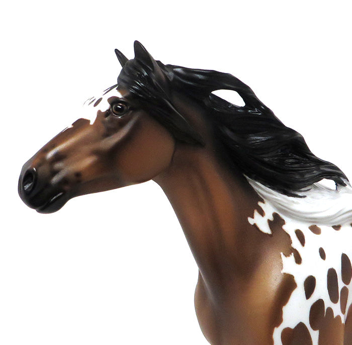 LIMITED EDITION MUSTANG