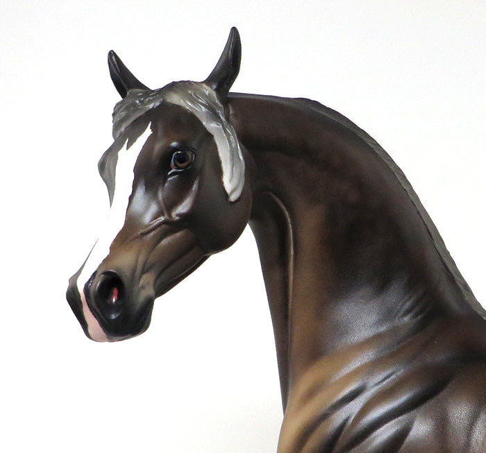 OOAK ARABIAN