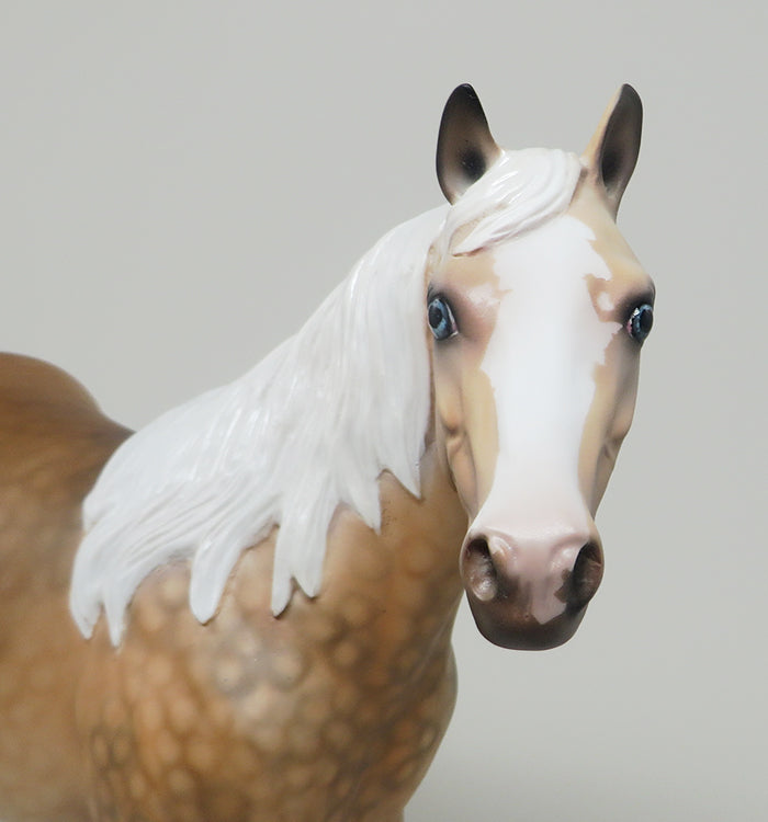 DAPPLED PALOMINO ISH