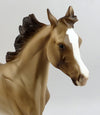 BUCKSKIN