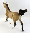 DORSAL 