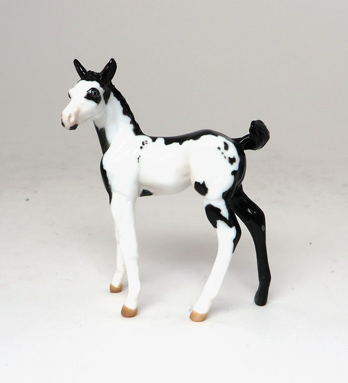 MISS D WEST - BLACK PAINT CHIPS FOAL MODEL HORSE - LE15 - 10/30