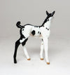 MISS D WEST - BLACK PAINT CHIPS FOAL MODEL HORSE - LE15 - 10/30
