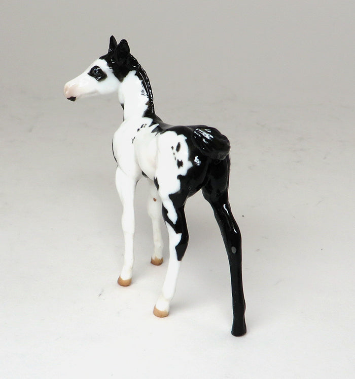 MISS D WEST - BLACK PAINT CHIPS FOAL MODEL HORSE - LE15 - 10/30
