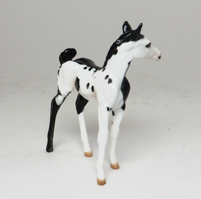 MISS D WEST - BLACK PAINT CHIPS FOAL MODEL HORSE - LE15 - 10/30
