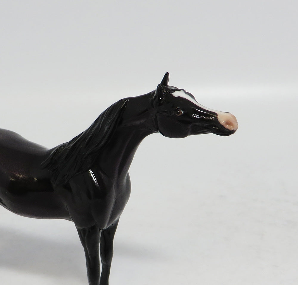 RAYNE-LE-15 BLACK ARABIAN CHIP MODEL HORSE SUPER BOWL SALE 2018