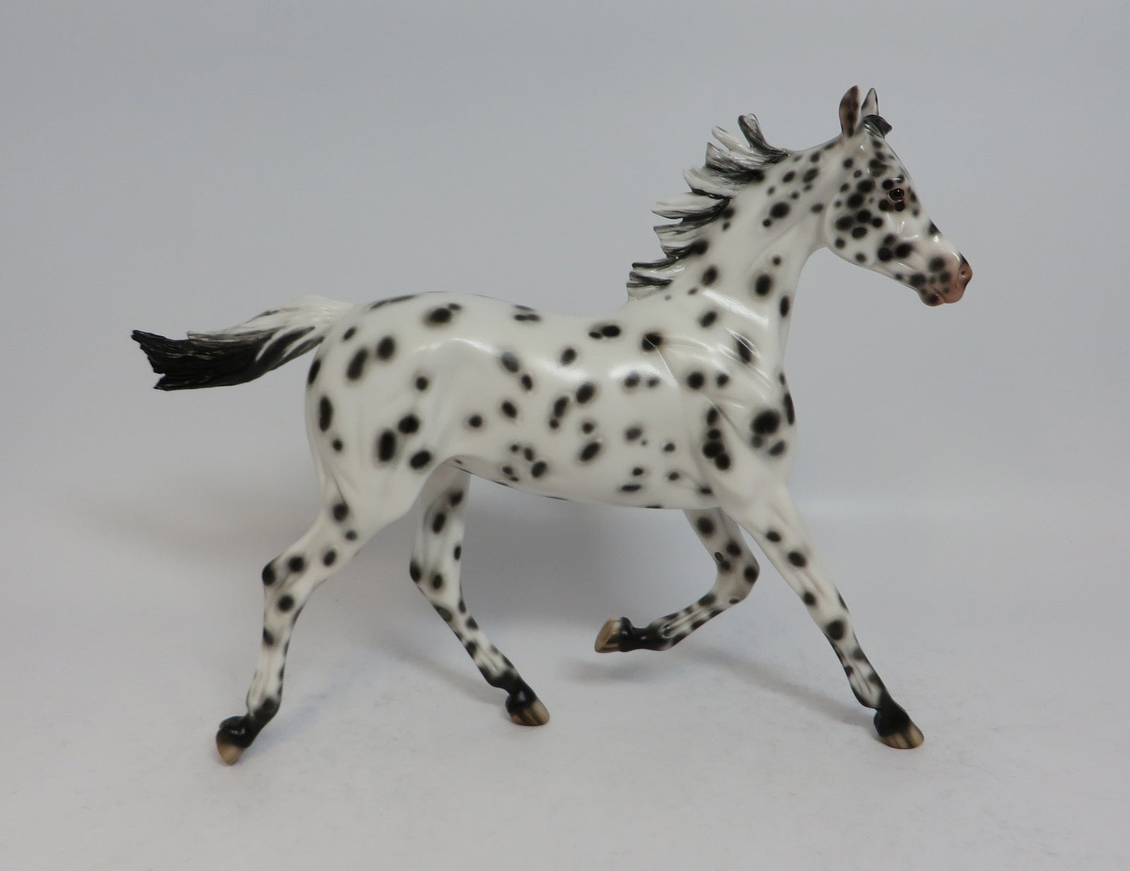 MIMI - OOAK BLACK LEOPARD APPALOOSA YEARLING MODEL HORSE BY SHERYL
