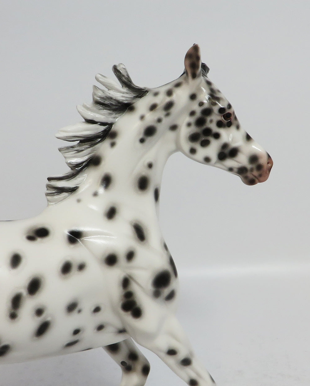 MIMI - OOAK BLACK LEOPARD APPALOOSA YEARLING MODEL HORSE BY SHERYL