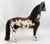 Morgan Horse