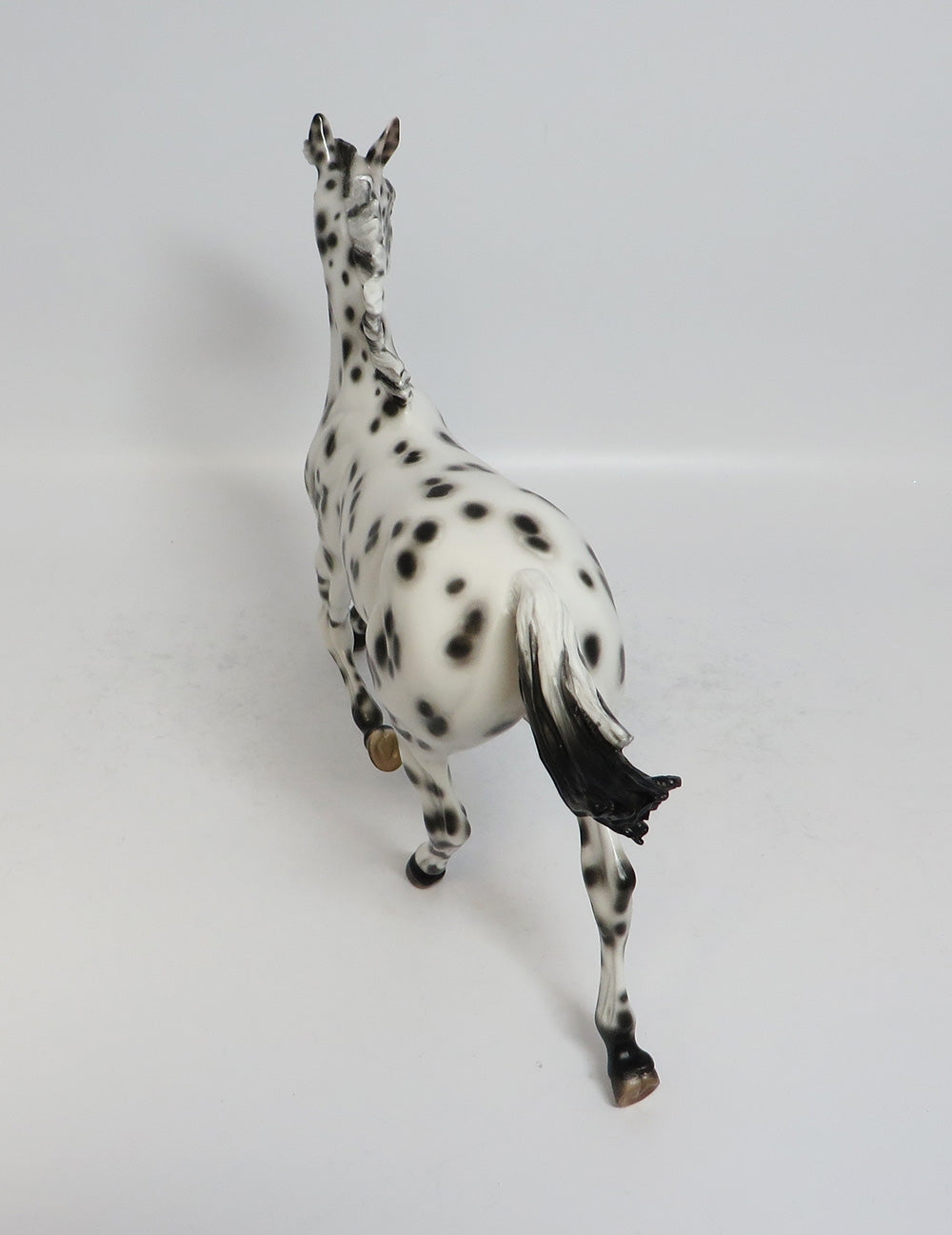 MIMI - OOAK BLACK LEOPARD APPALOOSA YEARLING MODEL HORSE BY SHERYL