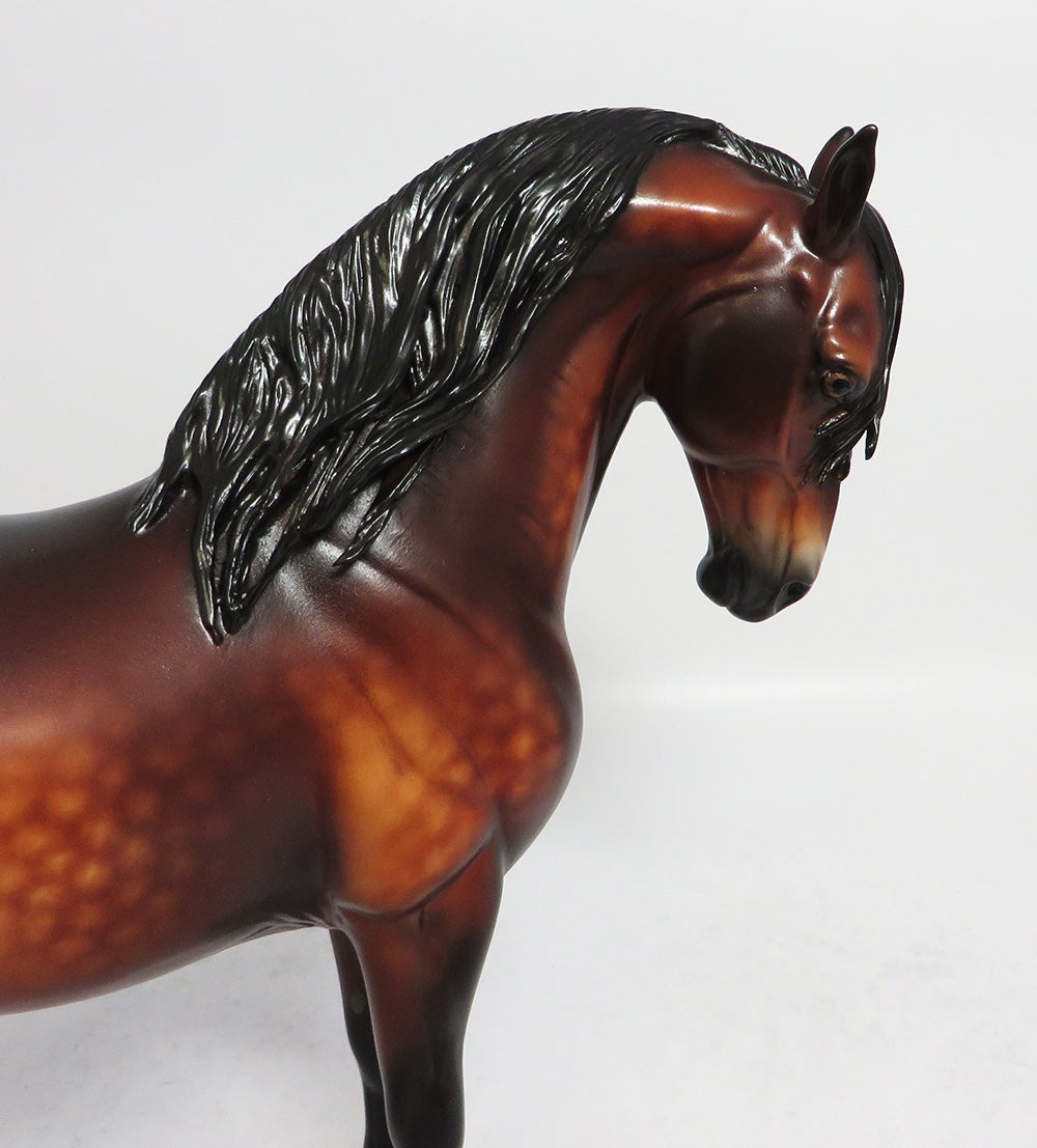 MARIO-OOAK STAR DAPPLE BAY ANDALUSIAN BY SHERYL LEISURE 1-26-18