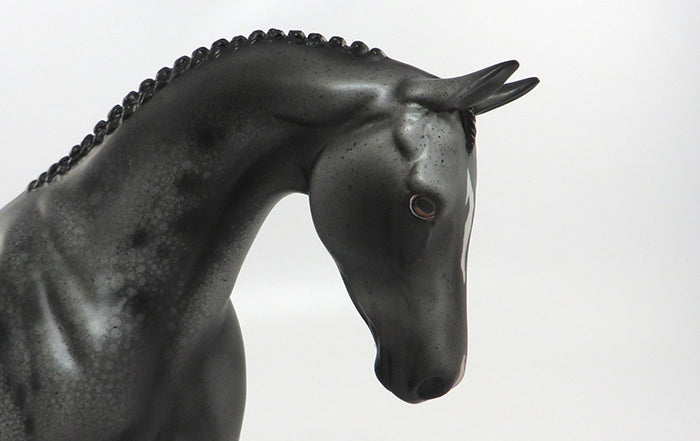 GLAM-OOAK APPALOOSA WITH DARK GREY GOING LIGHT ENGLISH PONY MODEL HORSE 8/19