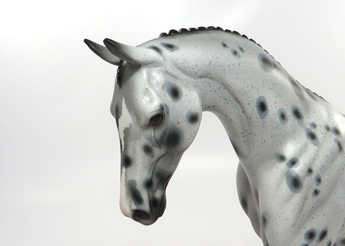 GLIM-OOAK LIGHT GREY APPALOOSA ENGLISH PONY MODEL HORSE 8/19