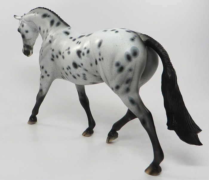 Appaloosa