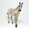 ZORSE WEANLING #5 