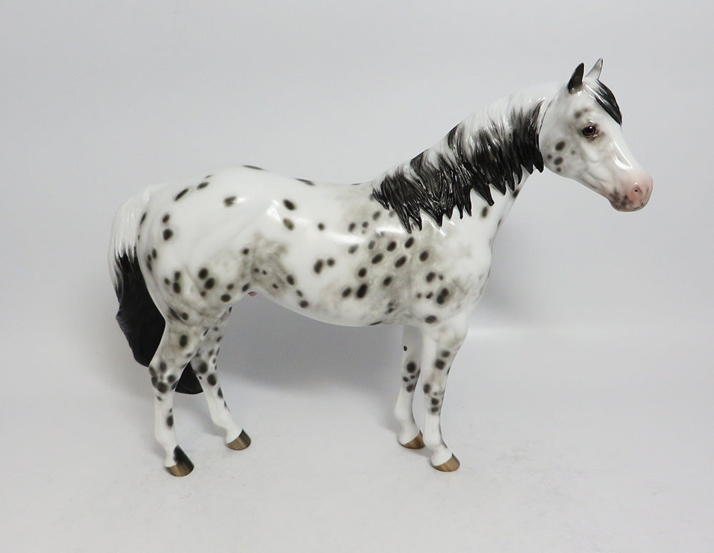 JOE DANCER - OOAK BLACK LEOPARD APPALOOSA ISH MODEL HORSE BY SHERYL