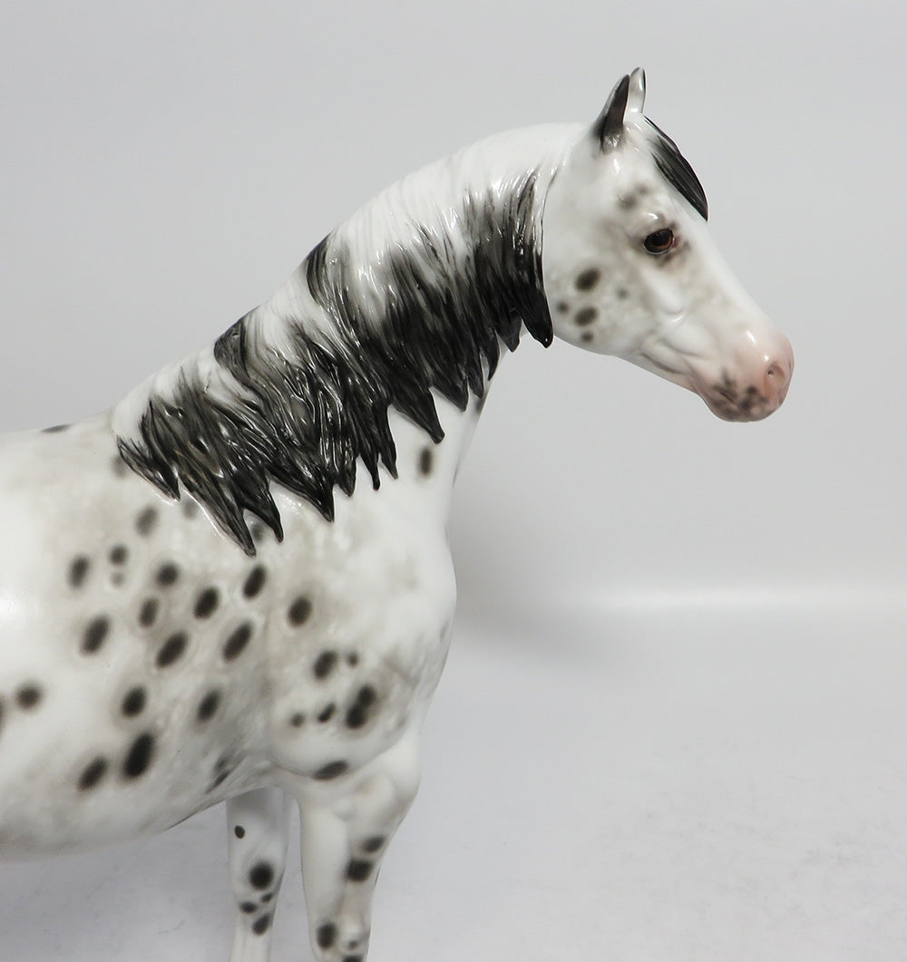 JOE DANCER - OOAK BLACK LEOPARD APPALOOSA ISH MODEL HORSE BY SHERYL