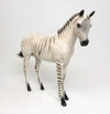 ZORSE WEANLING #6 