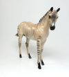 ZORSE WEANLING 