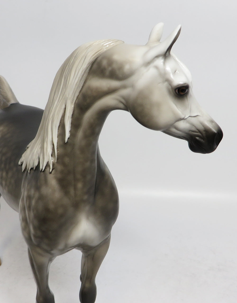 LEFTY ROGAN - OOAK STAR DAPPLE GREY ARABIAN MODEL HORSE BY SHERYL
