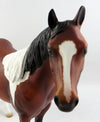 paint horses