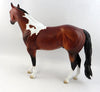 horse for sale