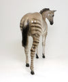 ZORSE WEANLING