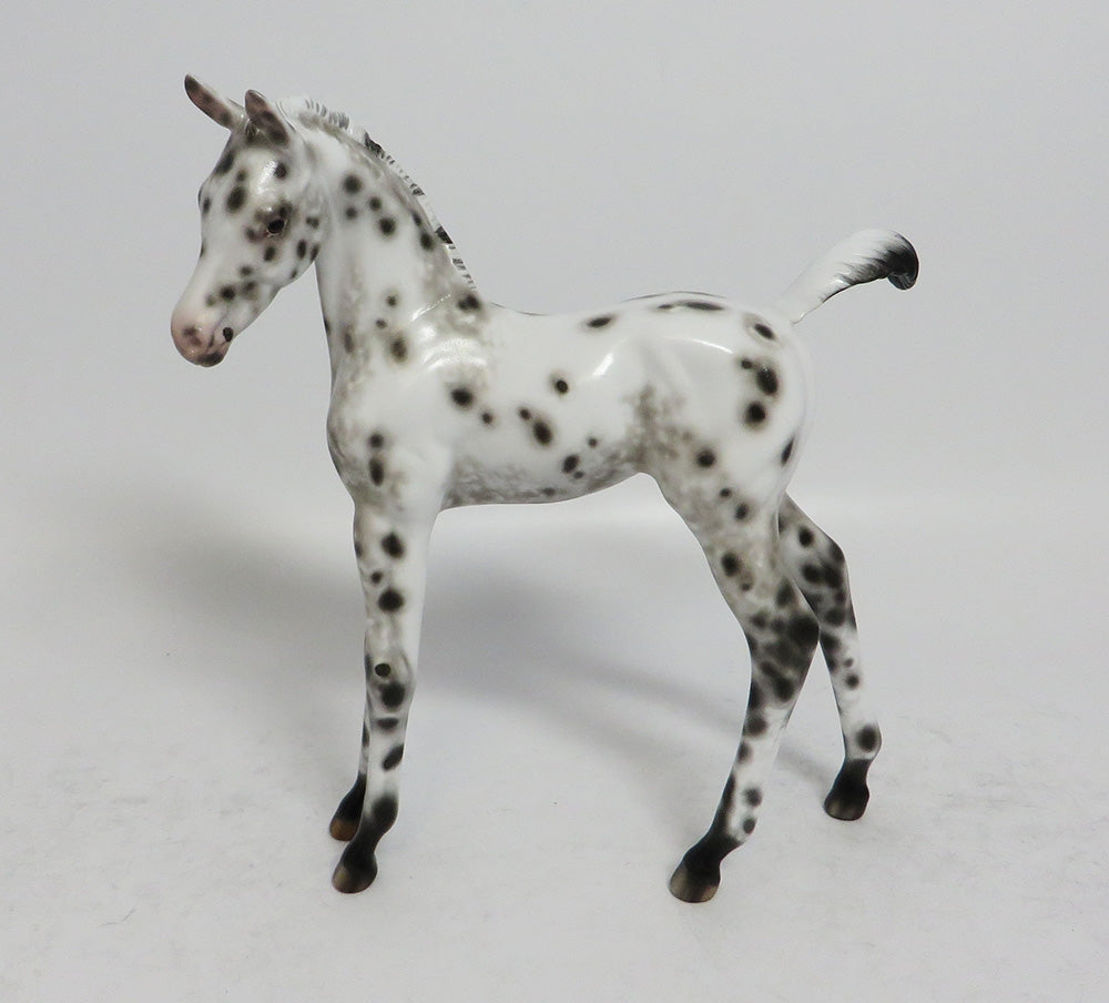 POLLY - OOAK BLACK LEOPARD APPALOOSA FOAL MODEL HORSE BY SHERYL