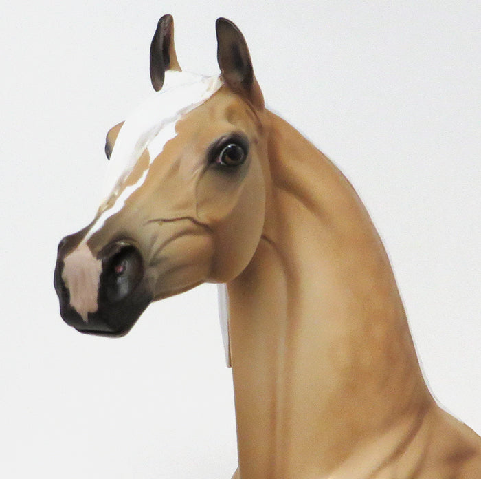 IMPRESSA ME - OOAK GOLDEN DAPPLED PALOMINO ARABIAN - 10/23