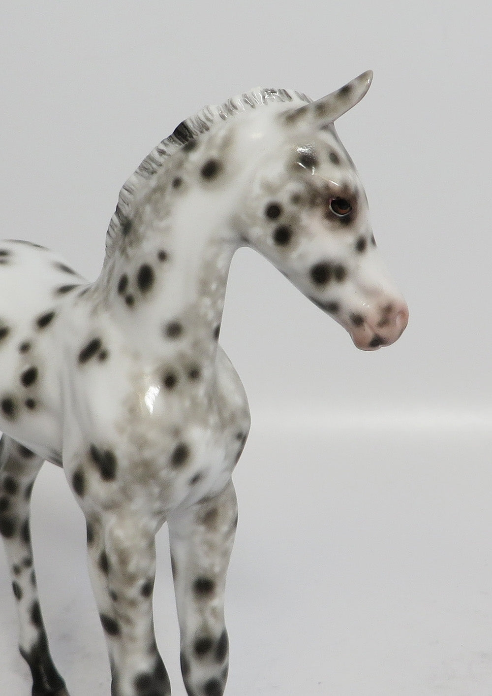 POLLY - OOAK BLACK LEOPARD APPALOOSA FOAL MODEL HORSE BY SHERYL