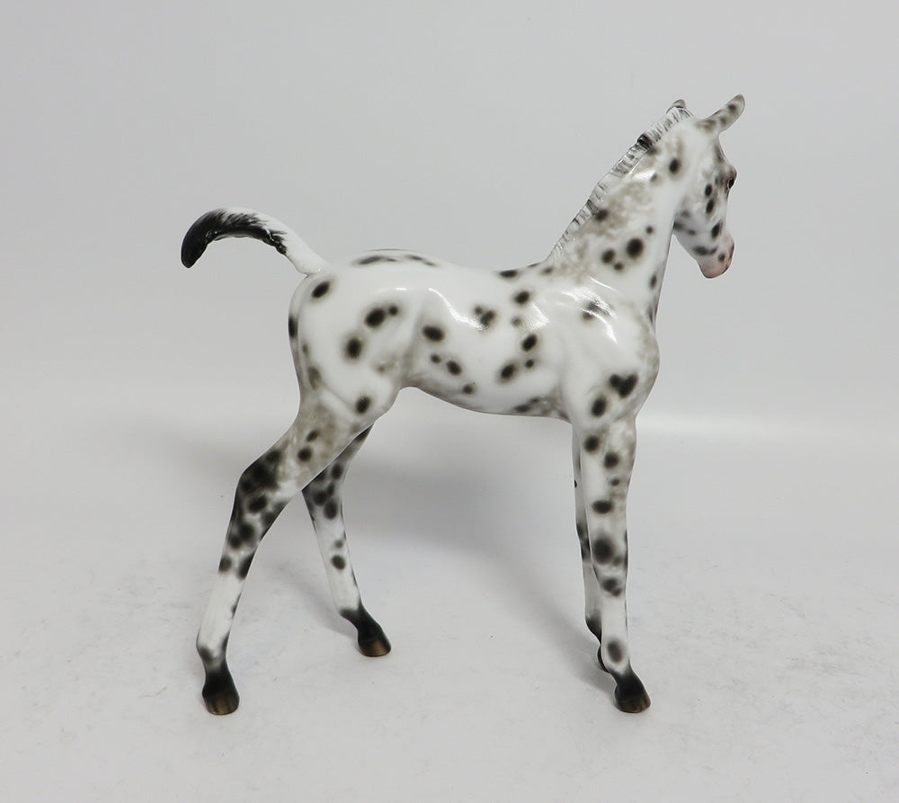 POLLY - OOAK BLACK LEOPARD APPALOOSA FOAL MODEL HORSE BY SHERYL