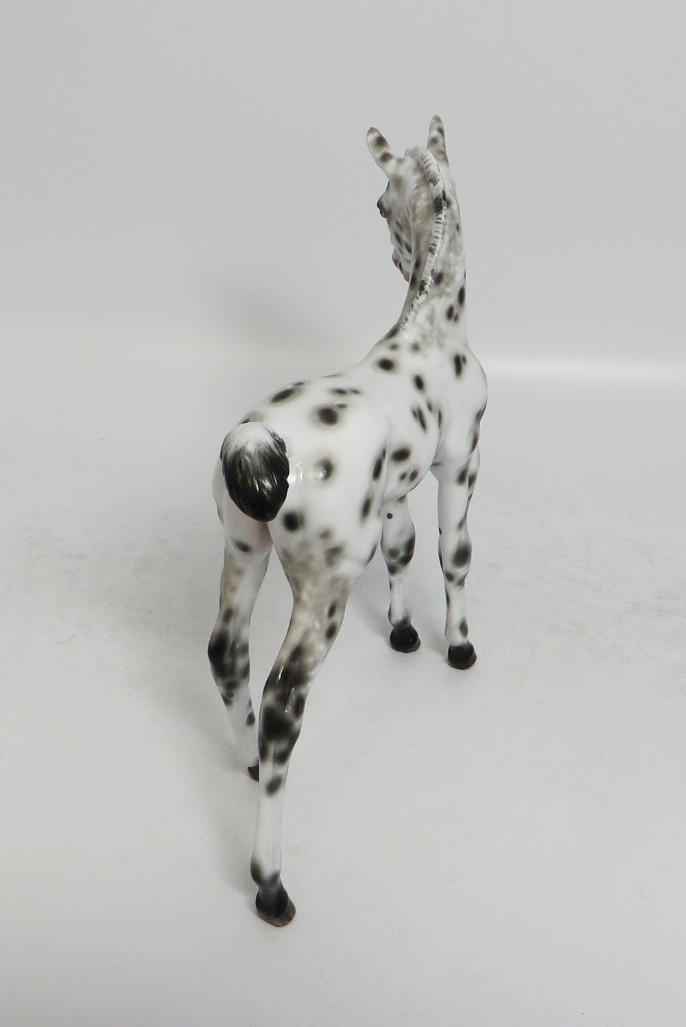 POLLY - OOAK BLACK LEOPARD APPALOOSA FOAL MODEL HORSE BY SHERYL