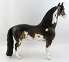 Morgan Horses