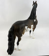 Sooty Buckskin