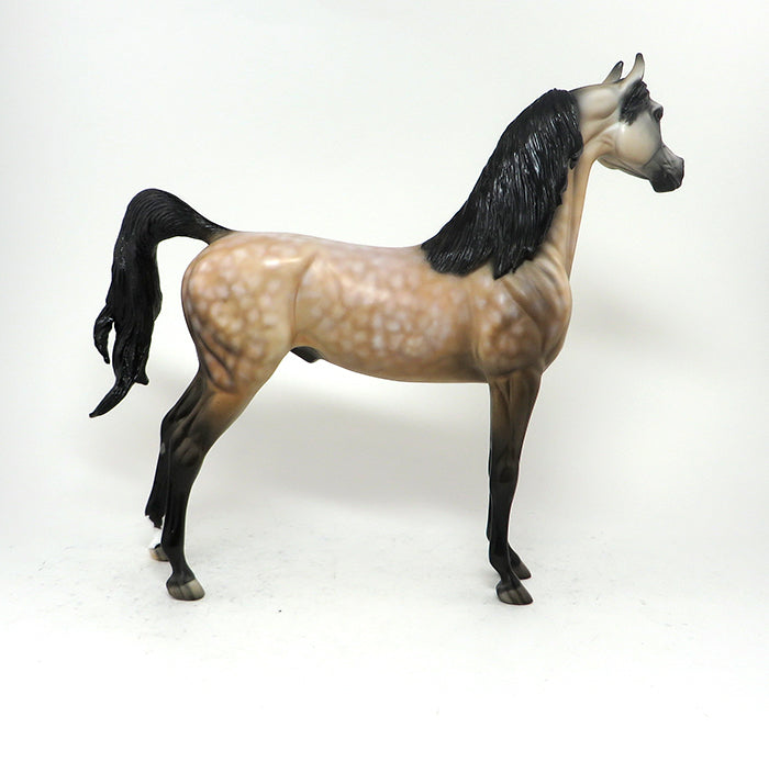 LEGACY - OOAK BUCKSKIN ARABIAN MODEL HORSE - 10/7