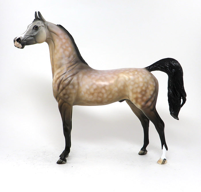 LEGACY - OOAK BUCKSKIN ARABIAN MODEL HORSE - 10/7