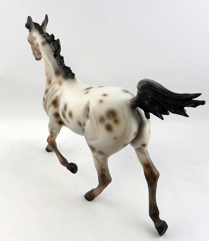 Appaloosa